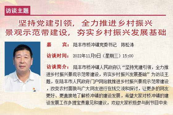 陆丰市桥冲镇党委书记   陈松涛.jpg