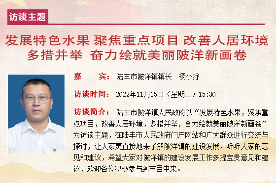 陆丰市陂洋镇镇长  杨小抒.jpg