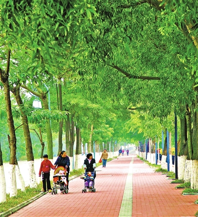 林荫路—河滨路.jpg