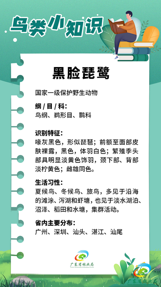 [林家百科] 黑脸琵鹭（20230601）.png