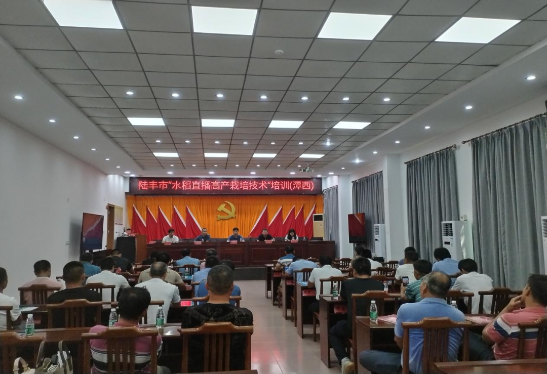 陆丰市水稻直播高产栽培技术培训会.png