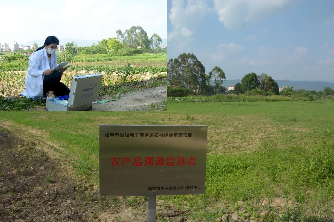 图片 2.png