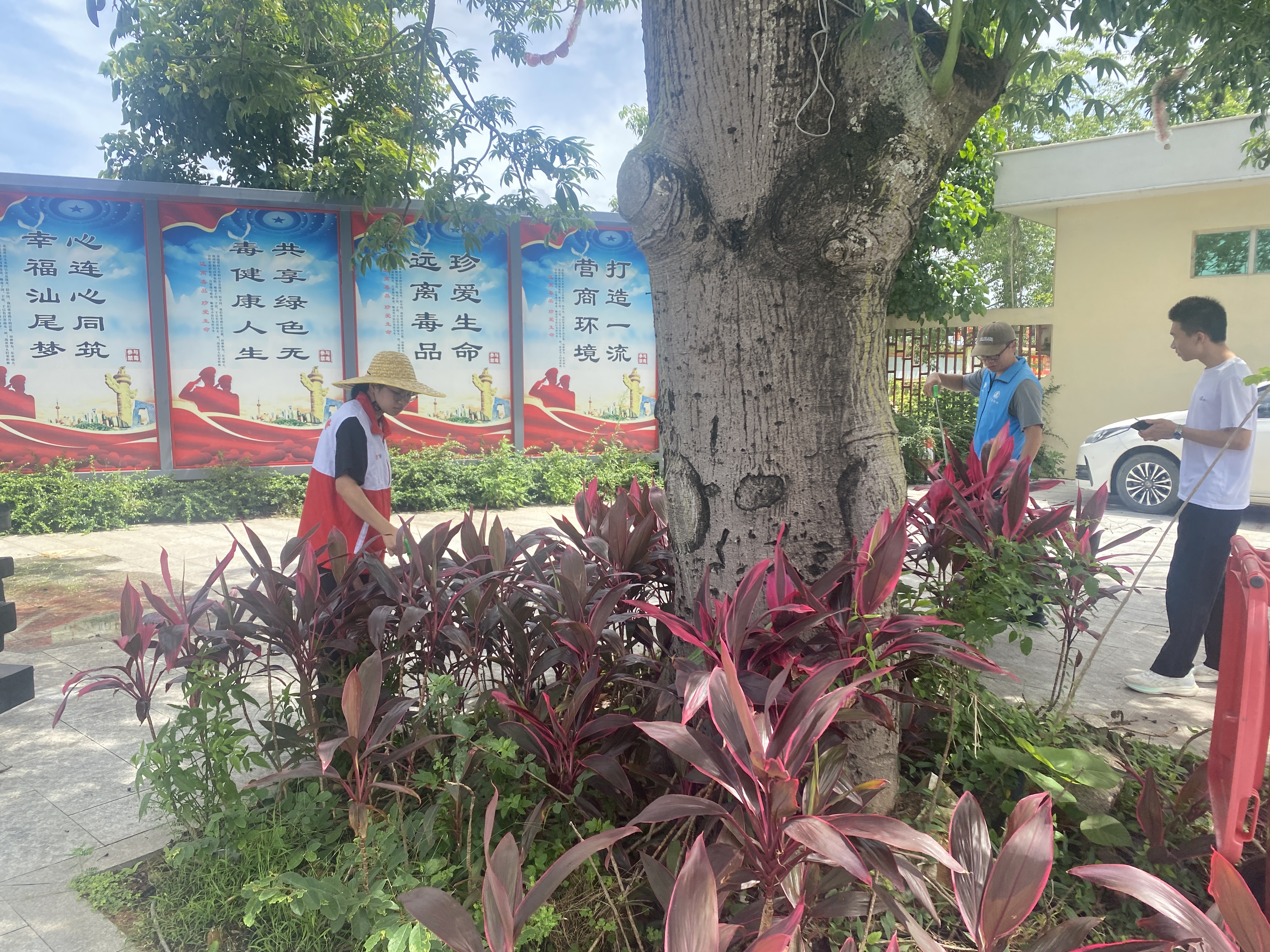 图片2.jpg