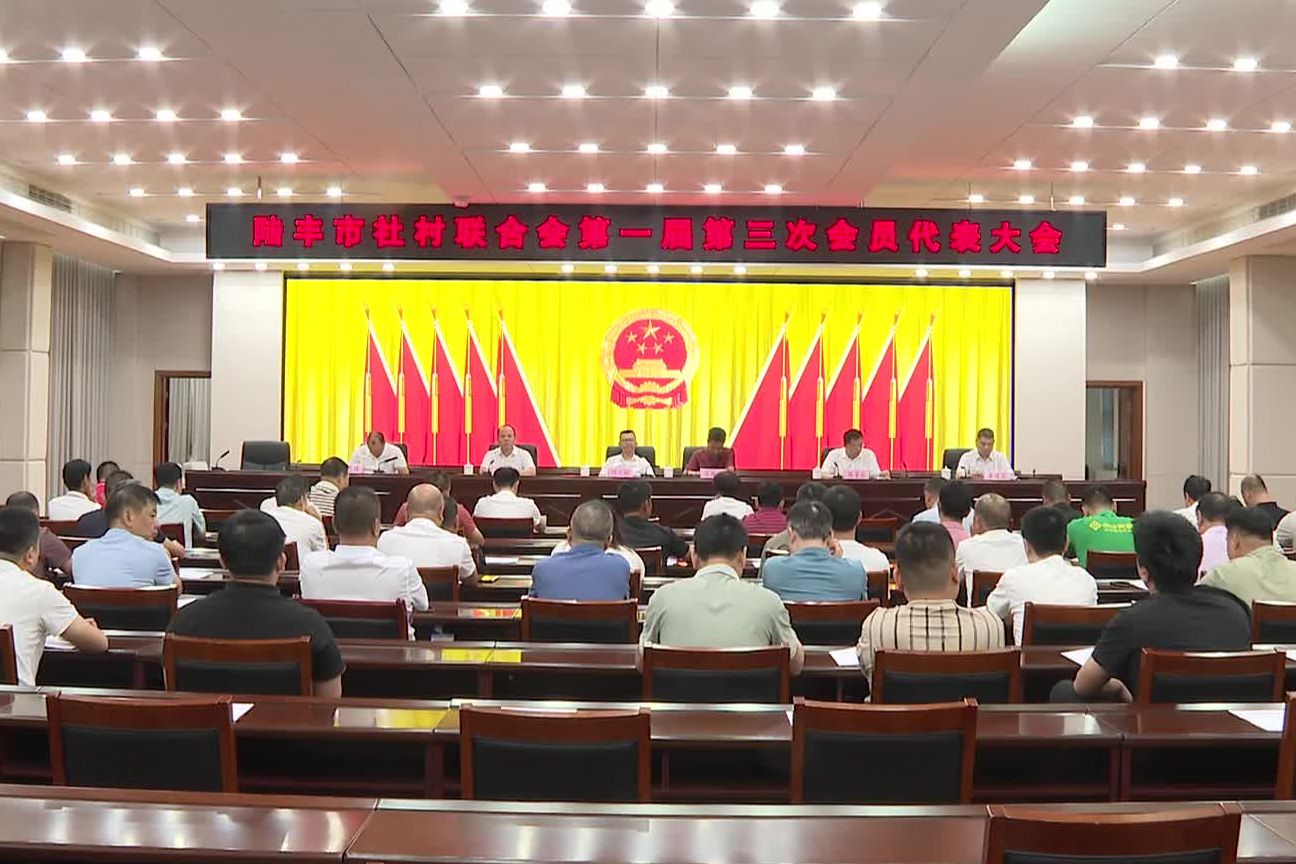 陆丰市社村联合会召开第一届第三次会员代表大会
