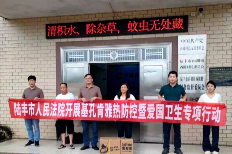 陆丰：聚力筑牢基孔肯雅热防控基层防线