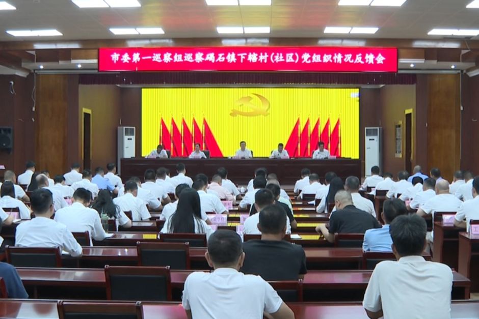 十四届陆丰市委第八轮巡察完成反馈