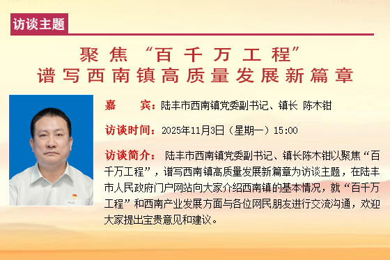 陆丰市西南镇党委副书记、镇长陈木钳.jpg