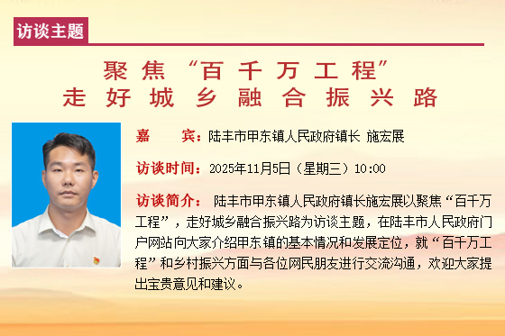 陆丰市甲东镇人民政府镇长  施宏展.jpg
