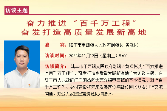 甲西镇副镇长 黄泽彬.jpg