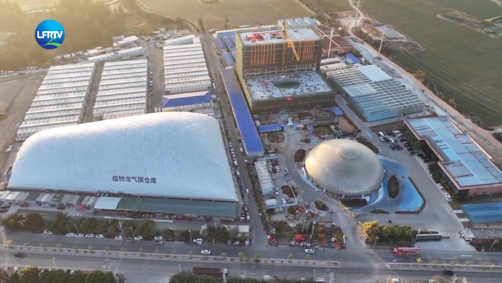 Screenshot 2026-01-28 at 09-47-30 陆丰融媒.png