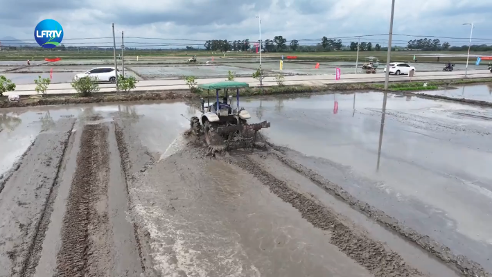 Screenshot 2026-03-31 at 10-02-57 陆丰融媒.png