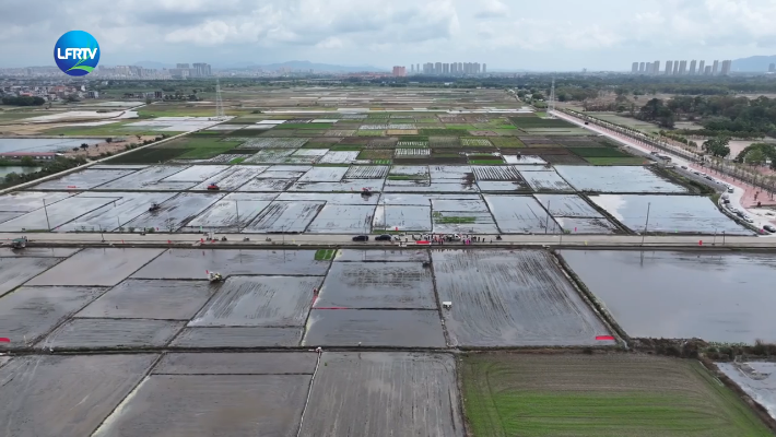 Screenshot 2026-03-31 at 10-02-50 陆丰融媒.png