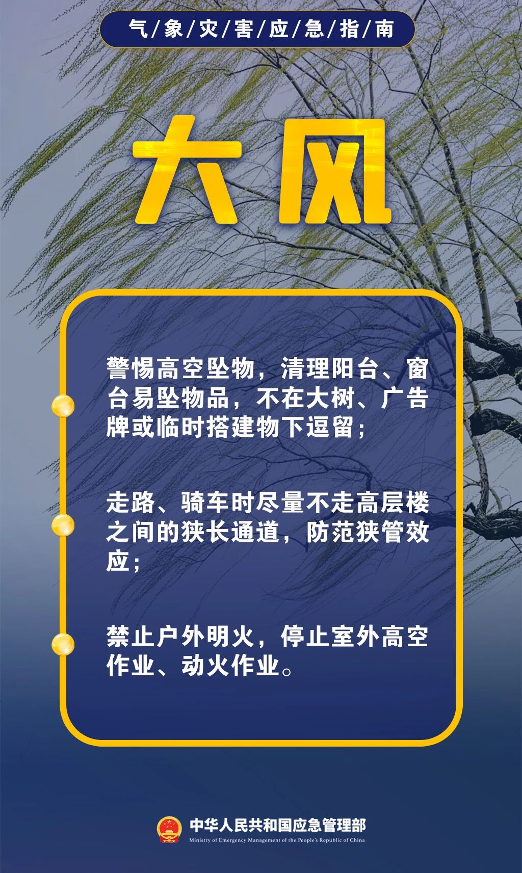 dbd7598955.jpeg