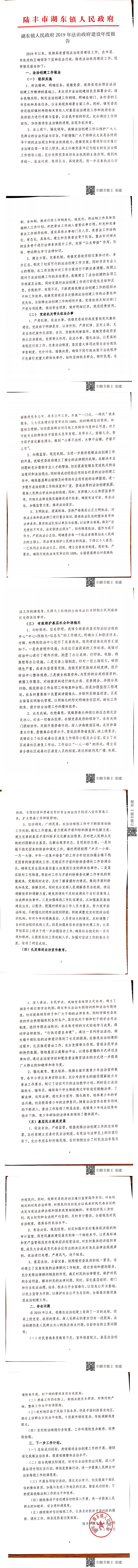 湖东镇人民政府2019年法治政府建设年度报告_0.png