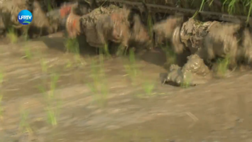 Screenshot 2026-04-24 at 10-41-52 陆丰融媒.png