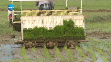 Screenshot 2026-04-24 at 10-41-31 陆丰融媒.png