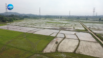 Screenshot 2026-04-24 at 10-41-34 陆丰融媒.png