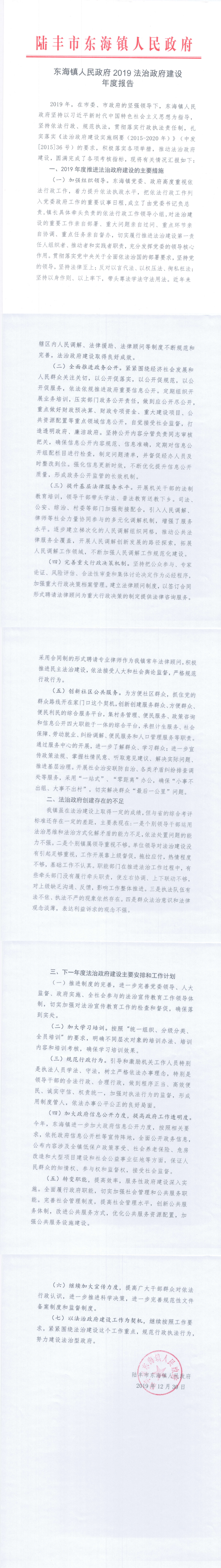 东海镇人民政府2019年法治政府建设年度报告_0.png