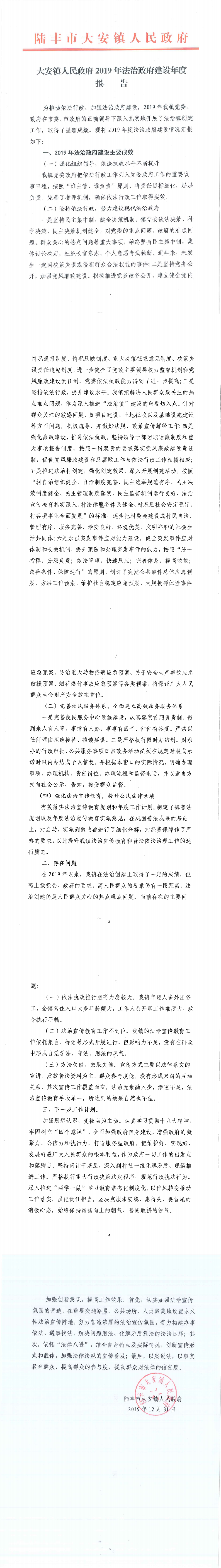 大安镇人民政府2019年法治政府建设年度报告_0.png