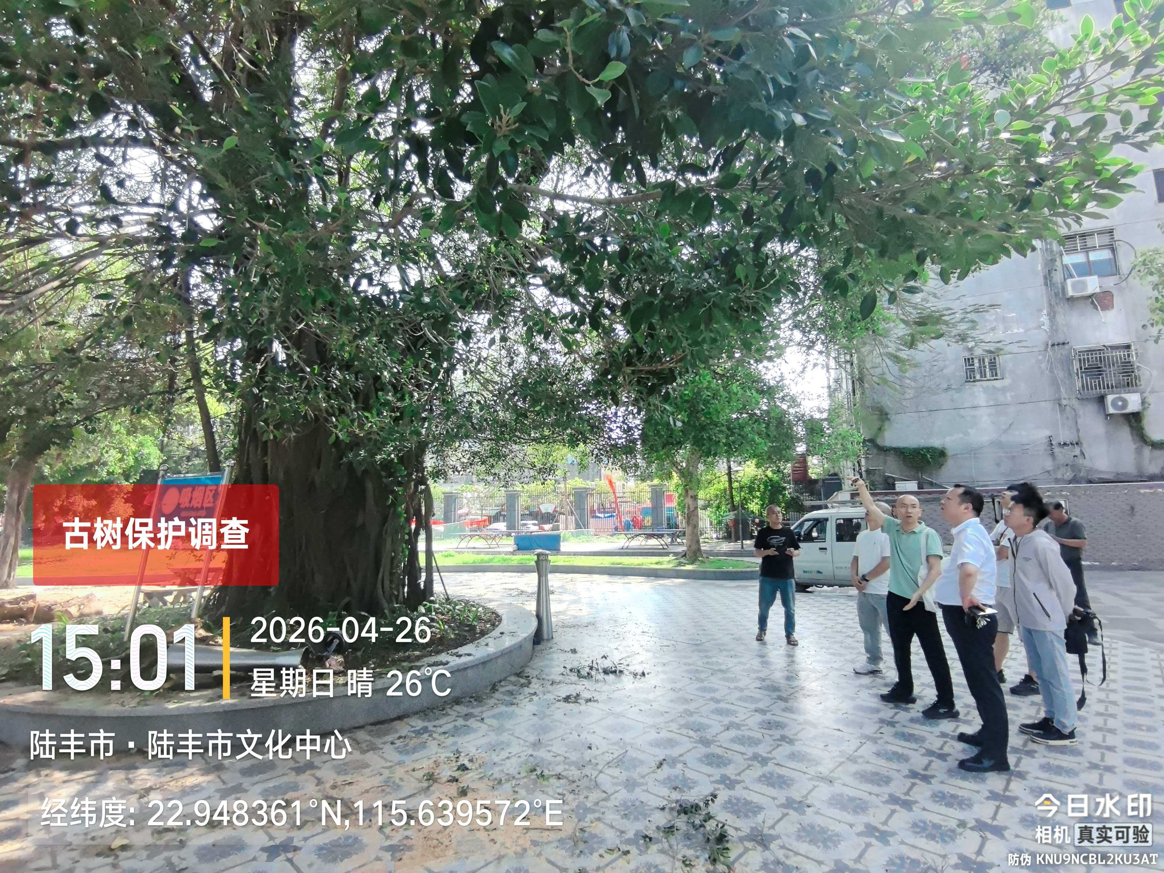 图片3.jpg