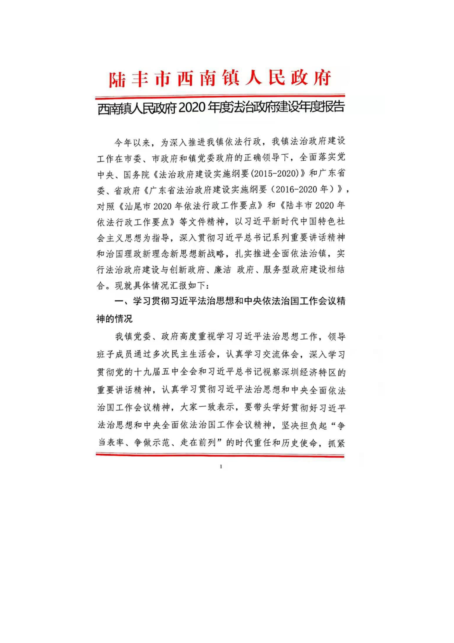 西南镇人民政府2020年度法治政府建设年度报告_00.png