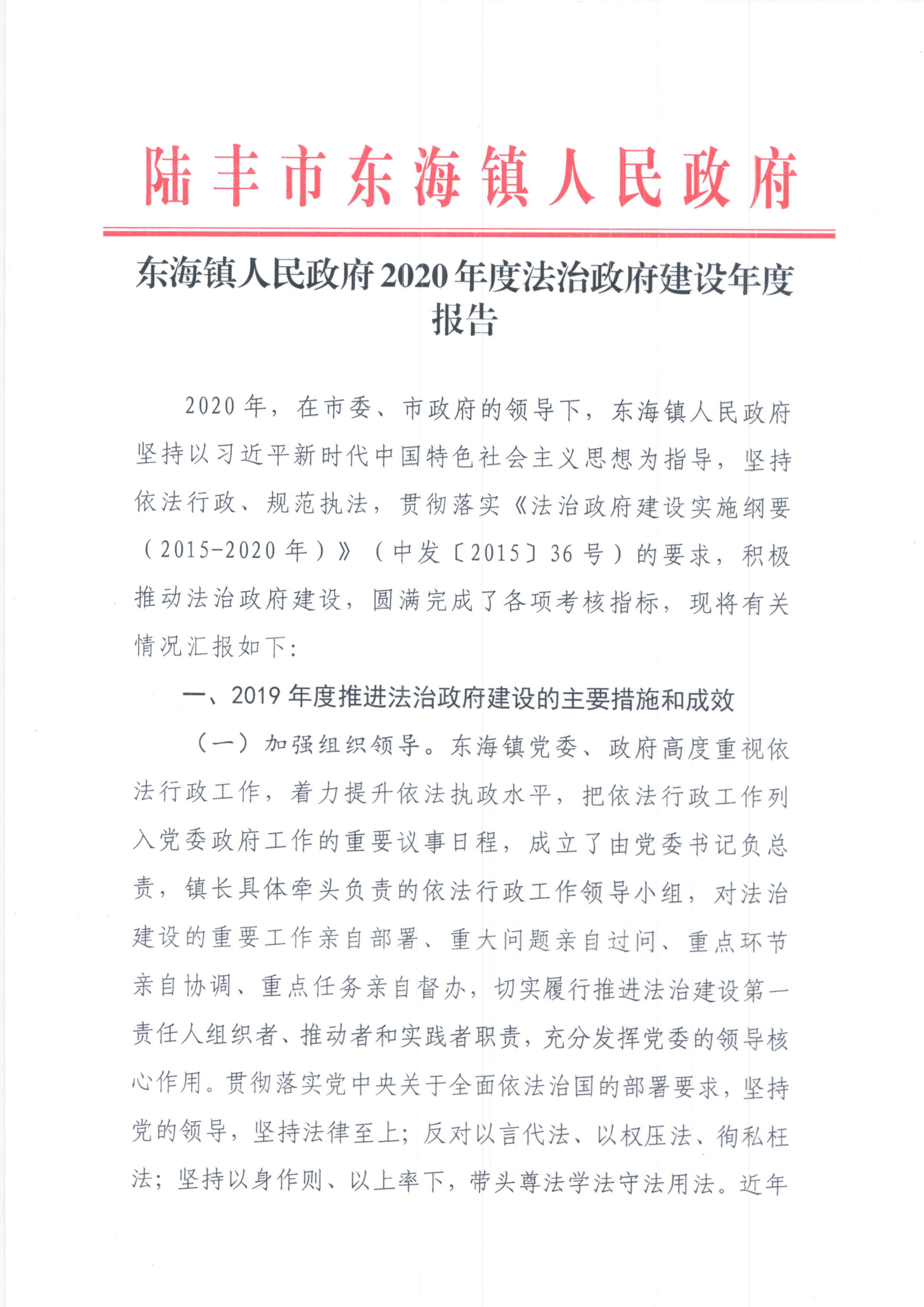 东海镇人民政府2020年度法治政府建设年度报告 (2)_00.png