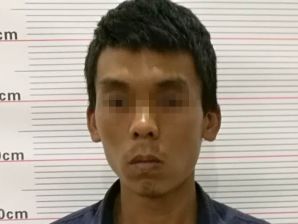 陆丰市湖东镇曲清村人口_陆丰市湖东镇通缉犯