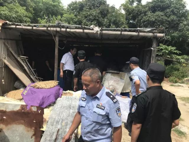陆丰甲东雨亭村人口_陆丰甲东奎湖村图片(2)
