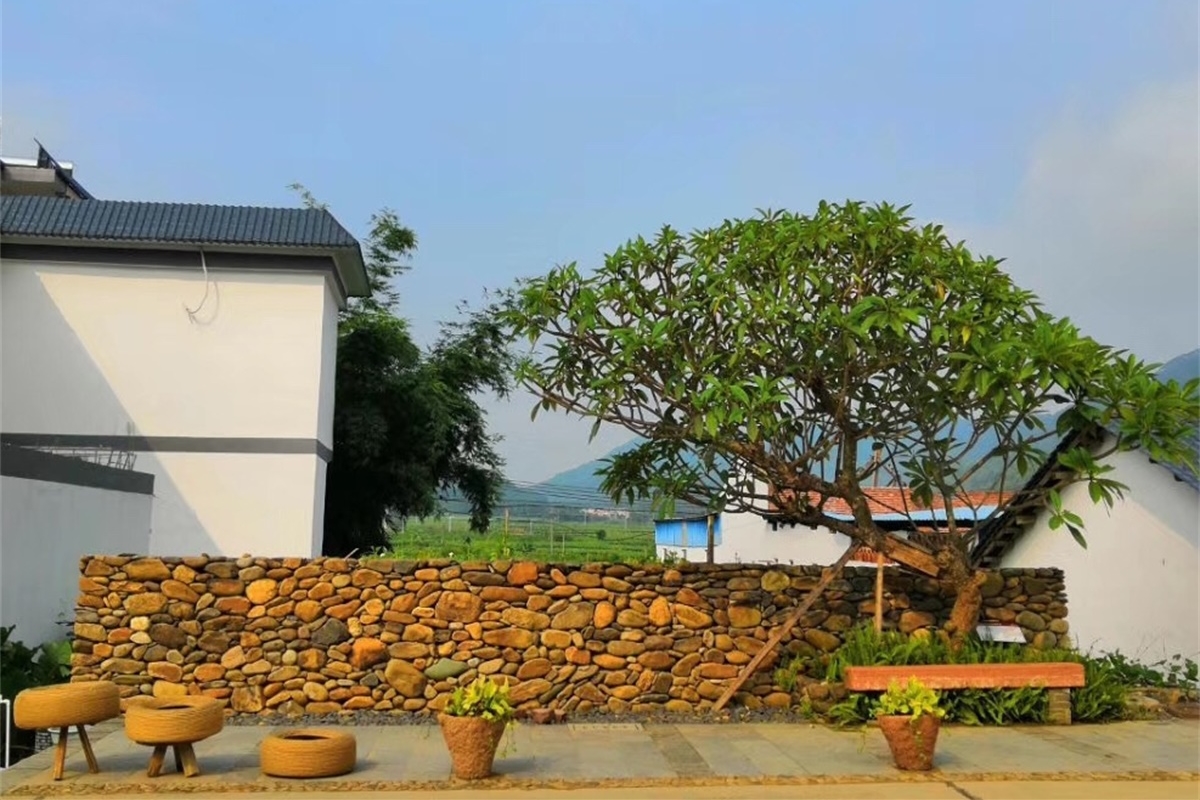 全省建设生态宜居美丽乡村培训班在翁源举办图六_20190811144829.jpg