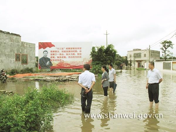 陆丰市有多少人口_陆丰某地,300多人大行动