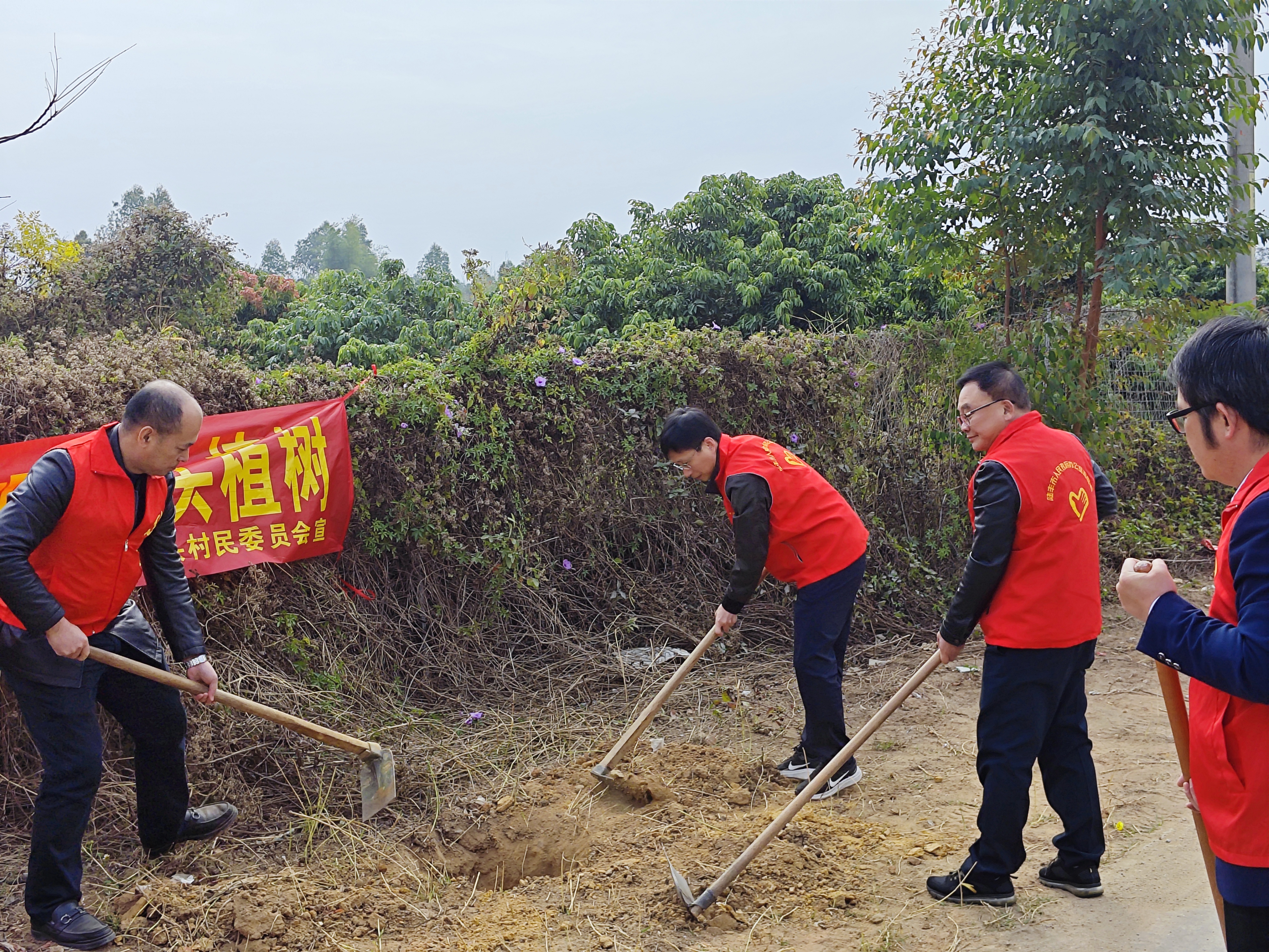 南塘镇开展绿美陆丰生态建设植树备耕活动