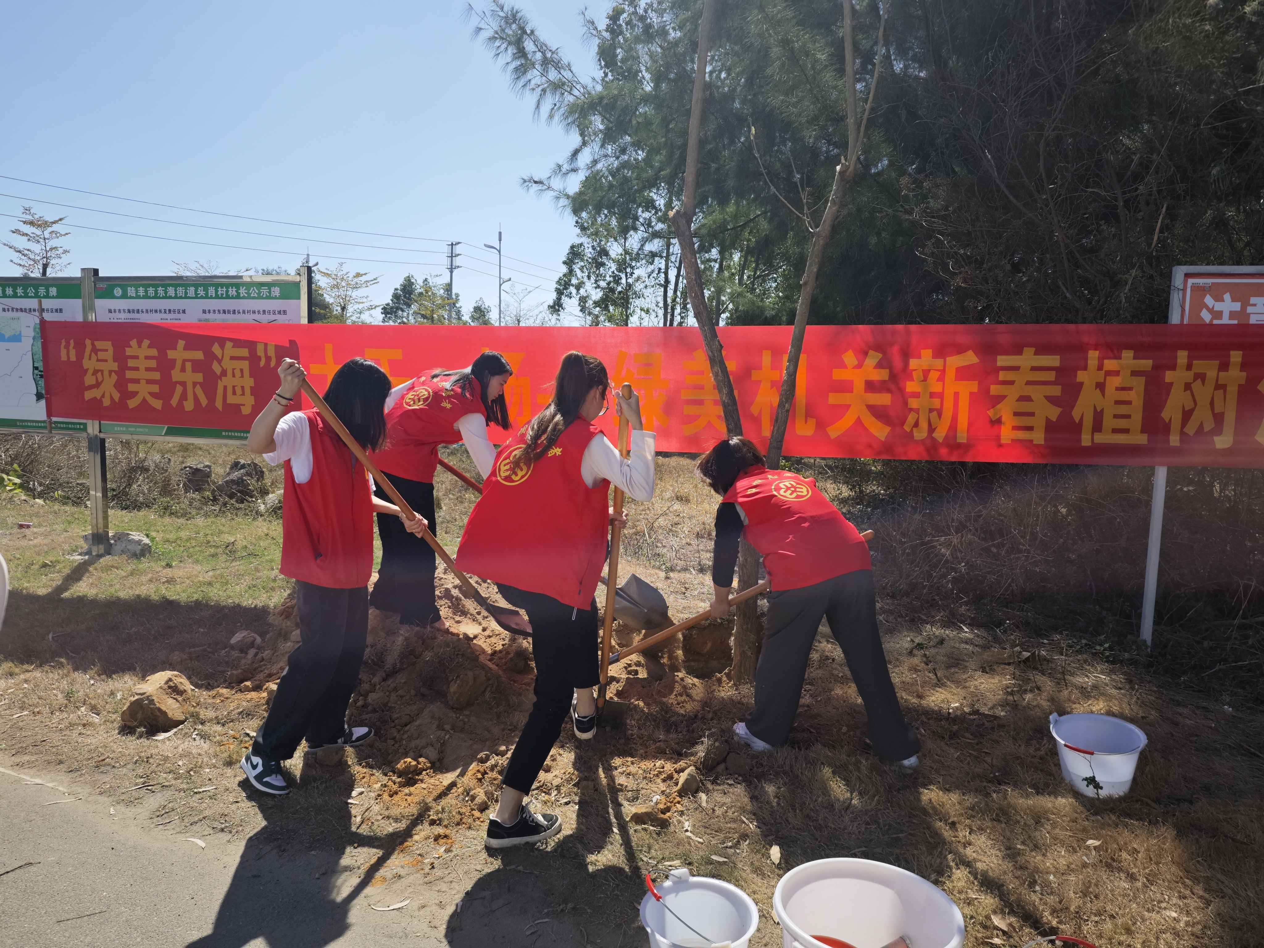 一场——东海街道开展绿美生态植树活动 - 乡镇动态 - 陆丰市人民政府
