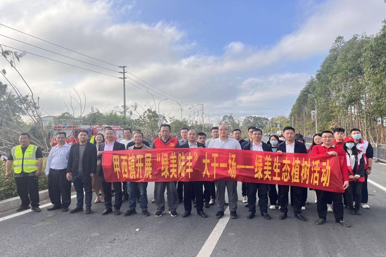 甲西镇绿美陆丰大干一场绿美生态植树活动