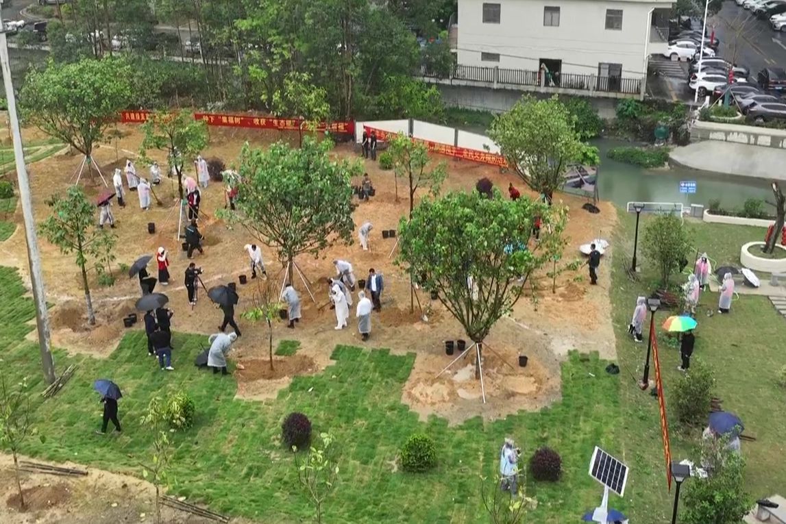 迎春集福树 绿美新陆丰 陆丰市开展全民义务植树活动