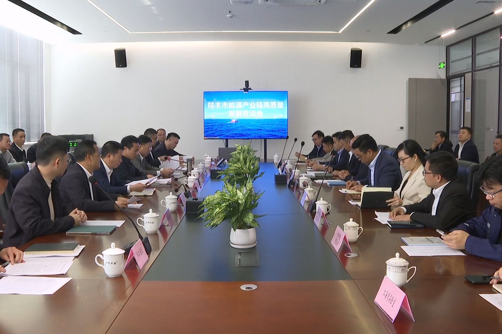 陆丰市召开能源产业链高质量发展座谈会