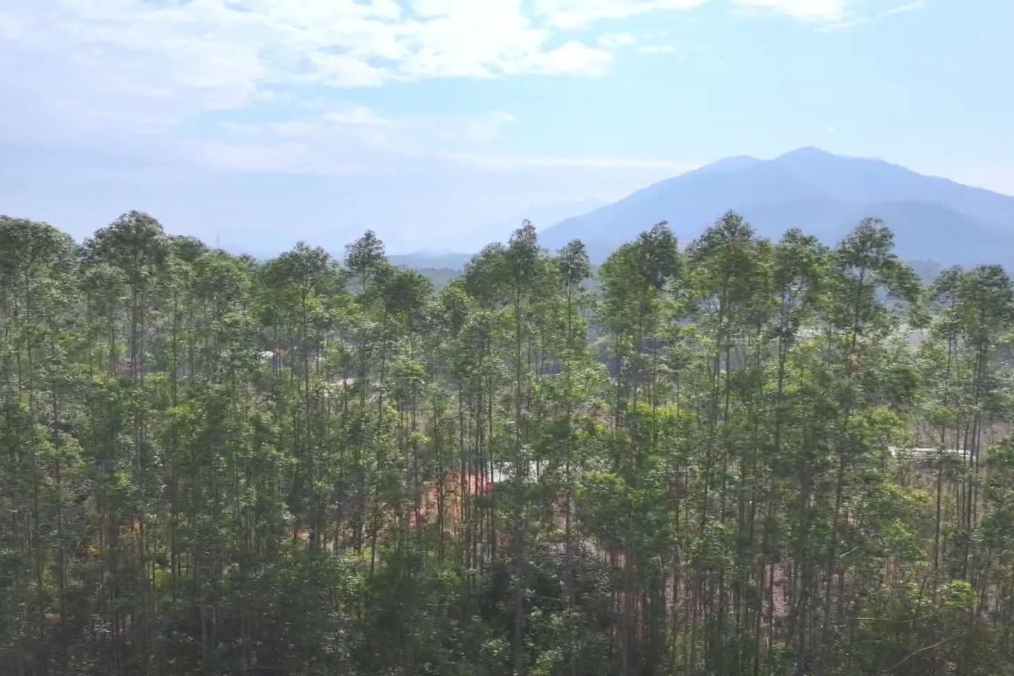 防患于未“燃”！ 陆丰市启动森林火灾Ⅳ级应急响应