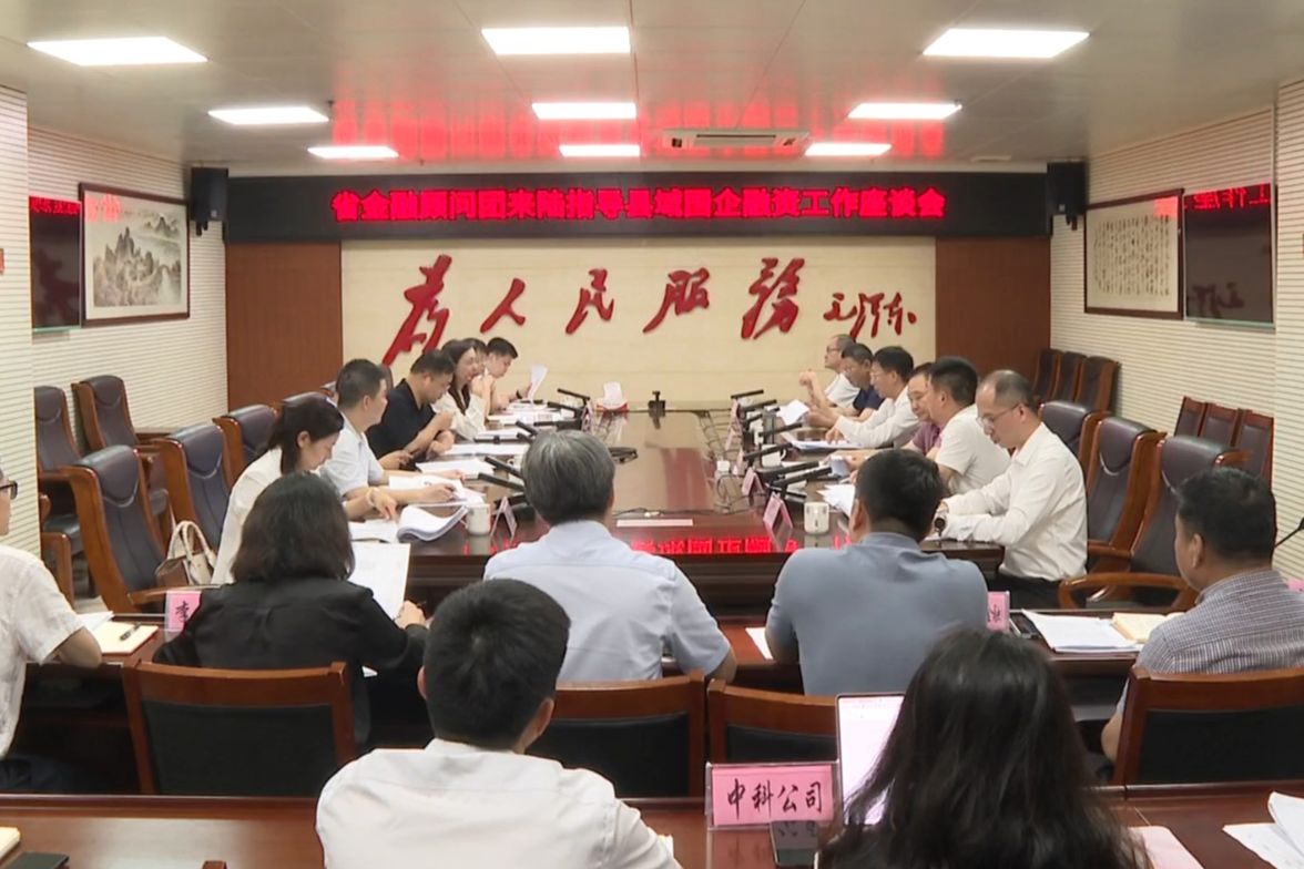 省金融顾问团到陆丰市调研指导县域国企融资工作