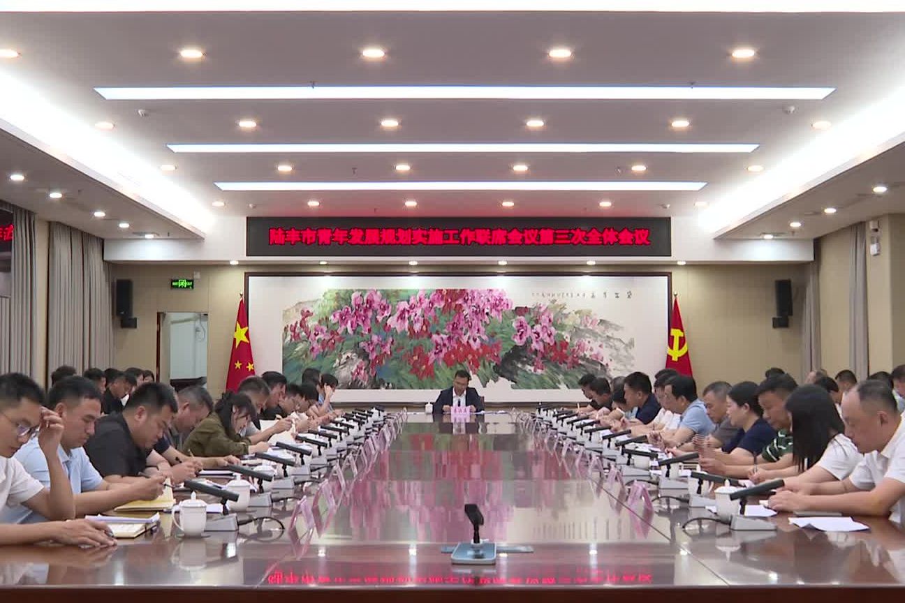 陆丰市青年发展规划实施工作联席会议第三次全体会议召开