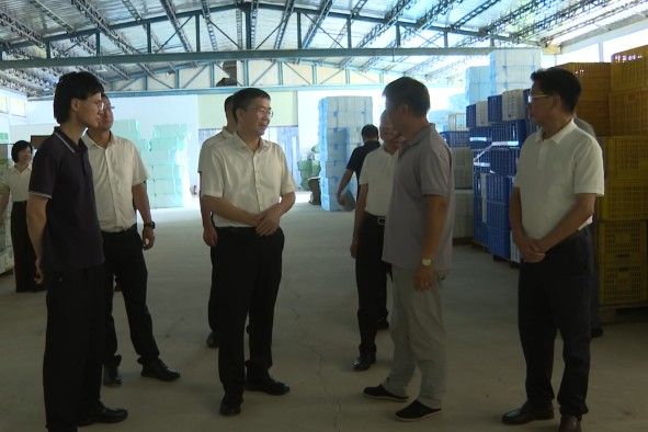 汕尾市人大常委会调研组到陆丰调研现代农业产业集群培育情况