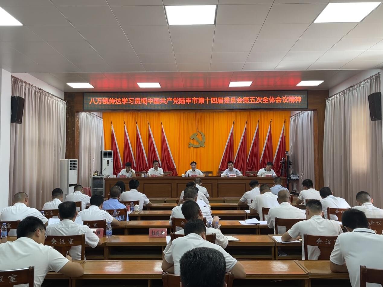 八万镇传达学习贯彻中国共产党陆丰市第十四届委员会第五次全体会议精神