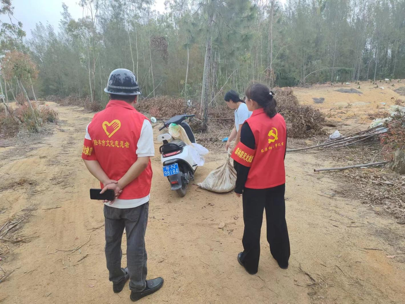 陆丰市甲东镇人民政府信息公开