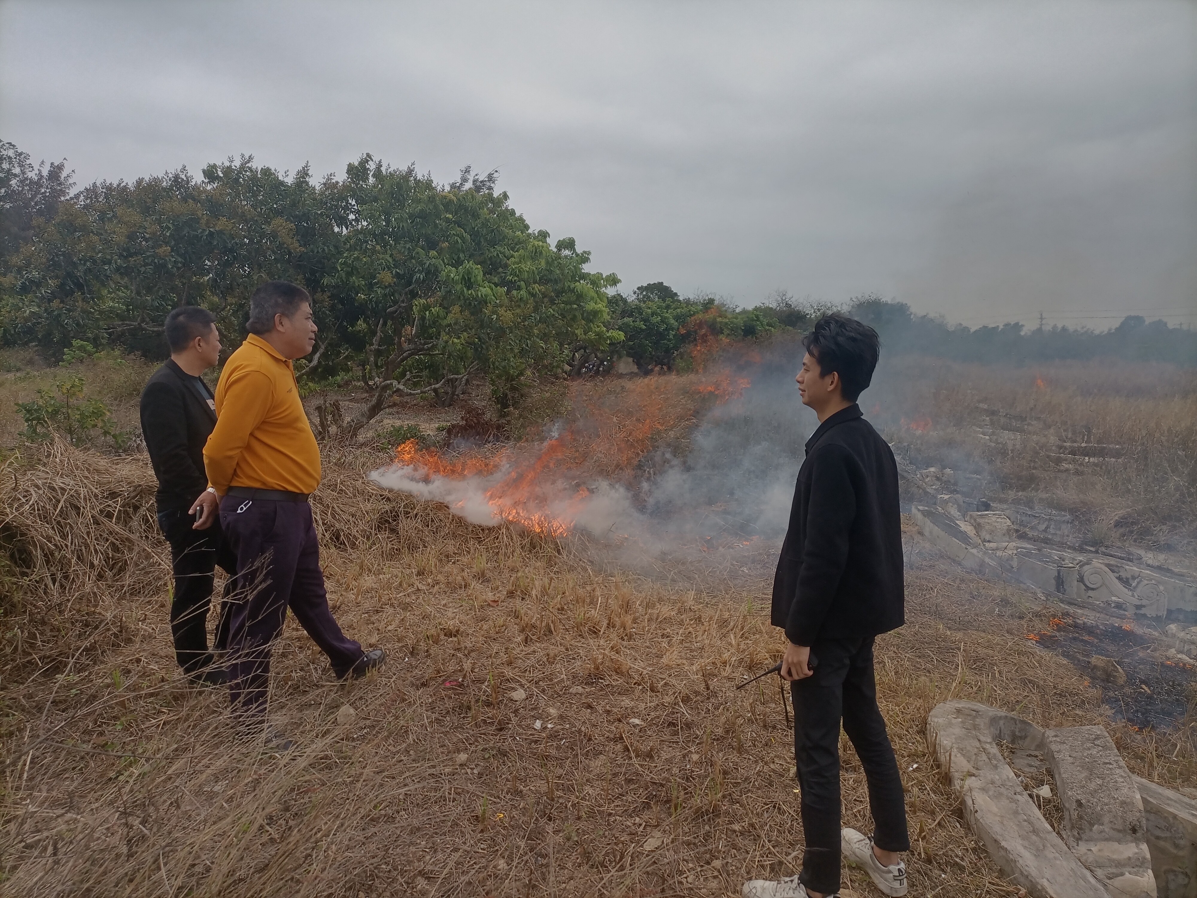 陆丰市甲西镇人民政府政府信息公开