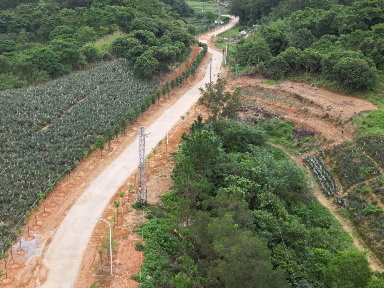 陆丰市八万镇凝聚绿美合力亮出"绿色答卷"