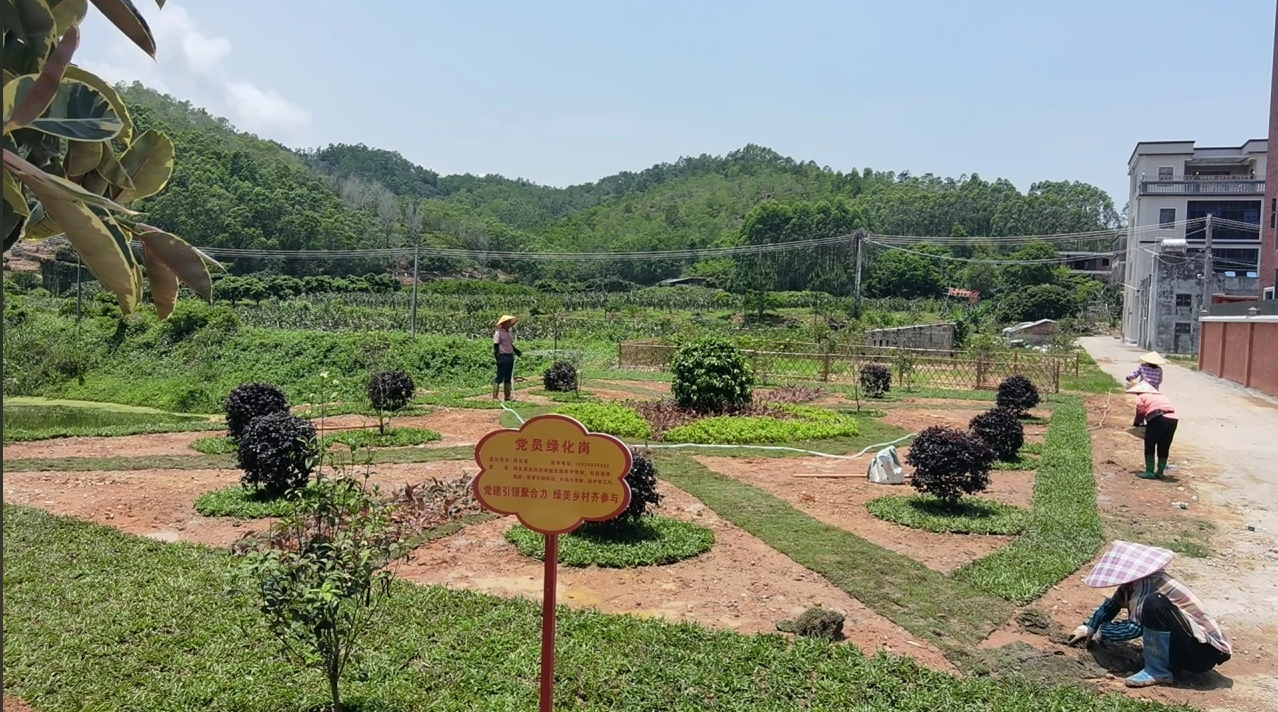 陆丰市八万镇凝聚绿美合力亮出"绿色答卷"
