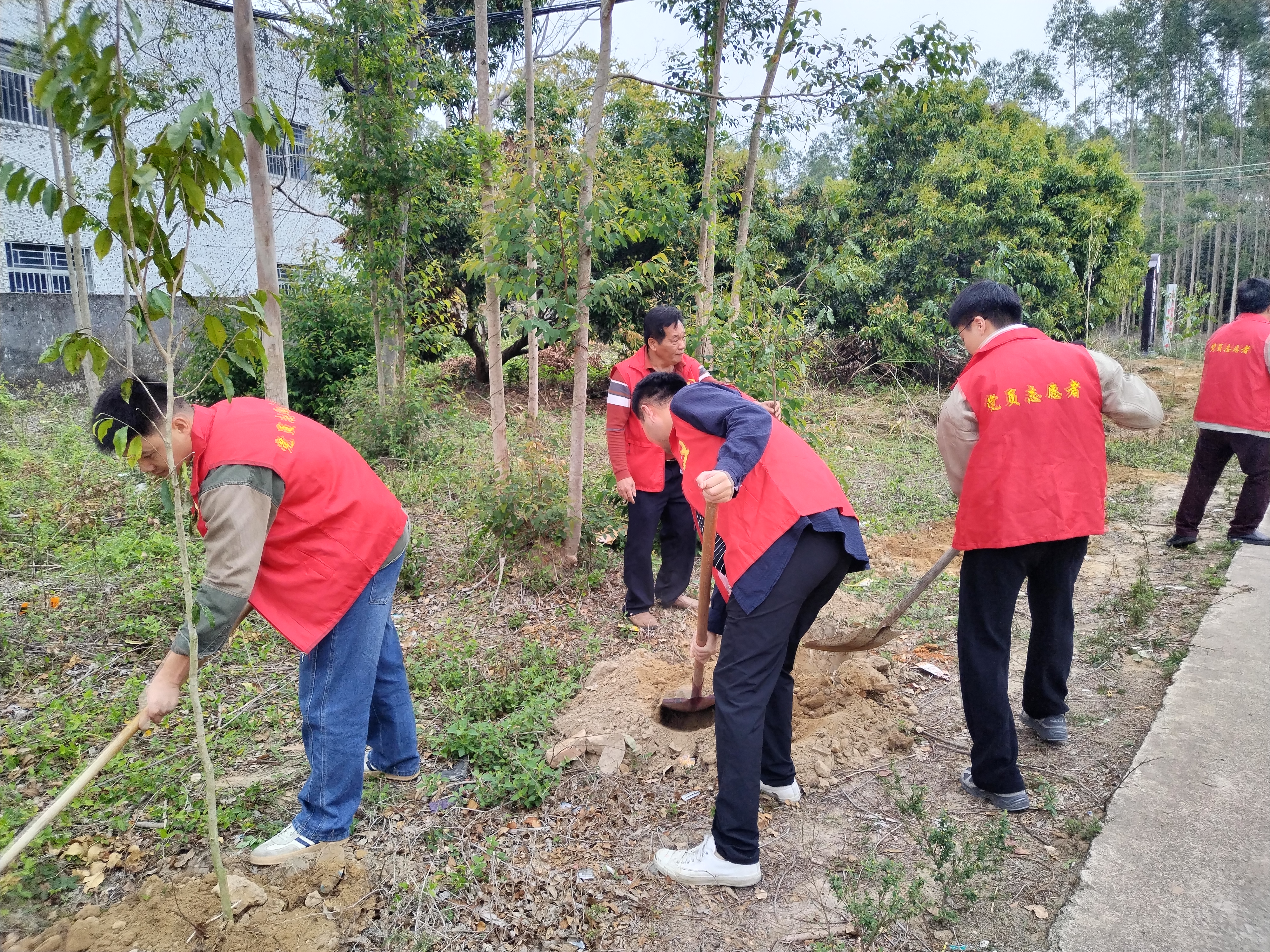 民政简报〔2025〕第7期 市民政局开展党建结对共建“爱绿植绿护绿兴绿”主题党日植树活动(1).doc_11