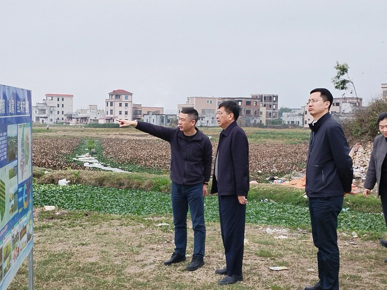 陆丰市潭西镇人民政府政府信息公开